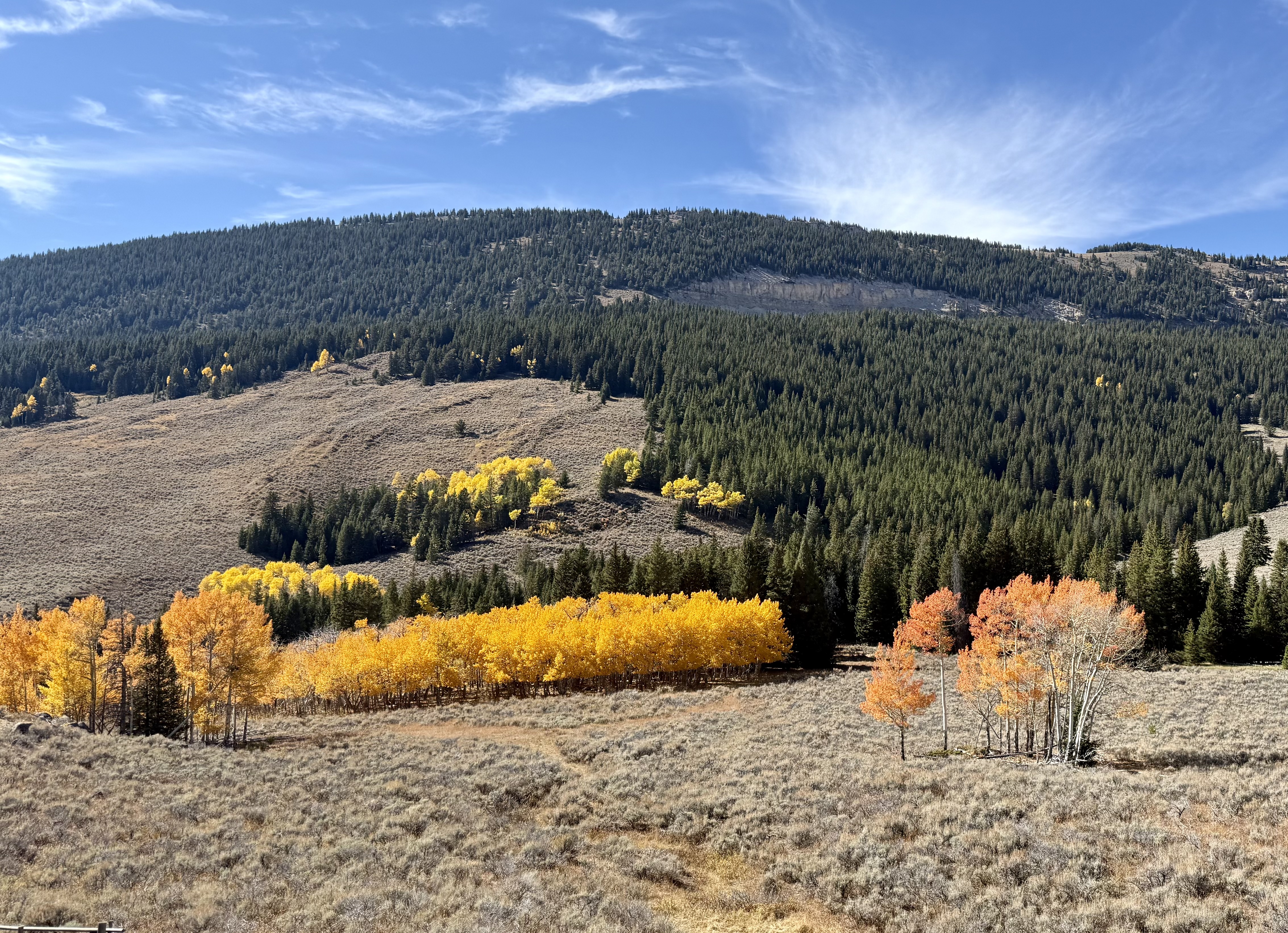 A scenic view of a mountainous landscape featuring golden autumn foliage in the foreground and dense green forests on the slopes.